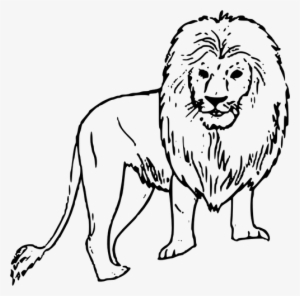 African Lion Vector Line Art Public Domain Vectors - Lion Black N White #1057175