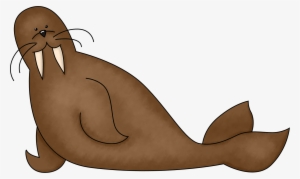 Sea Lion Clipart Arctic Seal - Cartoon Walrus Png #1057247