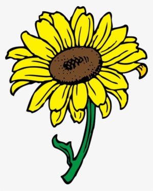 Girasol - Sunflower Clip Art #1057327