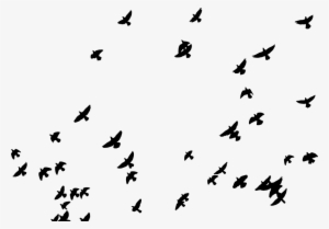 Flying Birds Vector Png - Clouds Black And White #1057357