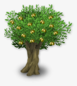 Olive Trees Are A Type Of Tree Unlocked At Level - Olive #1059428