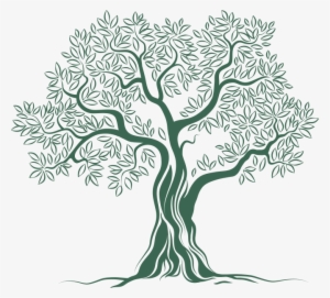 Olive Tree Logo Png #1059681