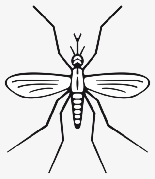 Mosquito - Mosquito Clip Art #1059711