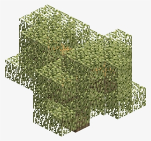 Olivetree - Wiki #1059718