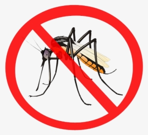 Mosquito Png - Anti Mosquito Sign Png #1060106