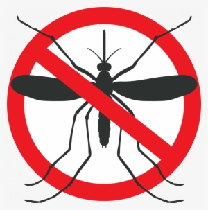 Mosquito Graphic - Dengue And Malaria Art #1060275