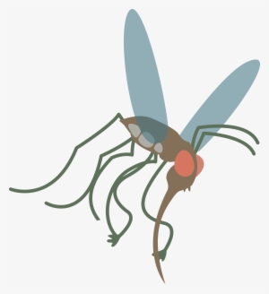Vector Mosquitoes Clipart - Mosquito Cartoon Transparent Png #1060318