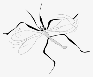 Mb Image/png - Mosquito Clip Art #1060501