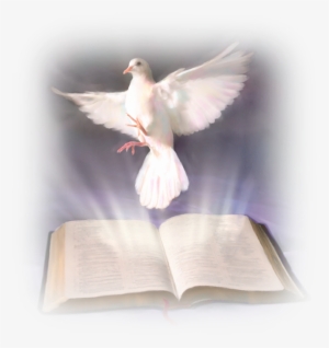 Related Wallpapers - Biblia Y Espiritu Santo #1060543 Related Wallpapers - Biblia Y Espiritu Santo #1060543