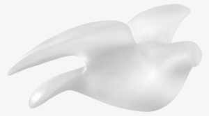 Paloma By Pedro Ramirez Vazquez 500ex #1060584