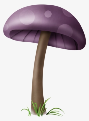 ○••°‿✿⁀shrooms‿✿⁀°••○ - Mushrooms Illustrations Png #1060715
