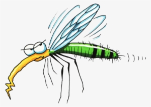 Mosquito - Mosquito Clipart Free #1060811