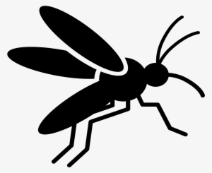 Climate Change And Mosquito - Mosquito #1060866