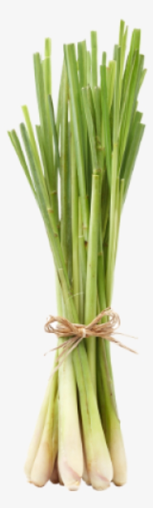 Free Lemongrass #1060867