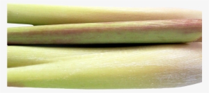 Lemongrass Png Image - Portable Network Graphics #1060914