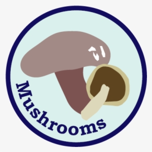 Mushrooms - Portable Network Graphics #1061046