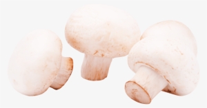 Free Png Mushrooms Png Images Transparent - Portable Network Graphics #1061134