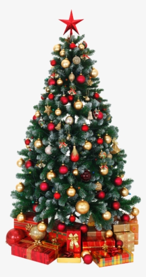 There Was An Error Processing Your Signup - Decorated Christmas Tree Png #1061336