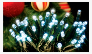 Arlec 250 Led White String Party Light - Led Bud Lights : Fairy String Lights (mains/wall Powered) #1061370