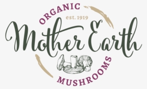 Mother Earth Mushrooms - Organic Mother Earth Shiitake Mushrooms #1061842