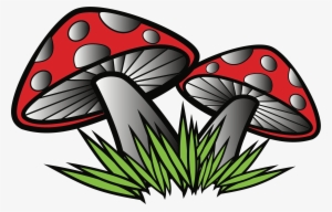 Big Image - Mushroom #1062137