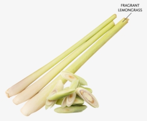 The New & Improved Maggi® 2-minute Noodles Tom Yam - Tom Yum Herb Png #1062155