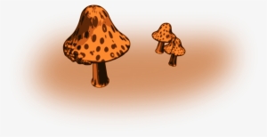 Mushrooms Png #1062342