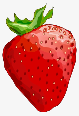 28 Collection Of Strawberry Drawing Png - Strawberry Clipart Clear Background #1062883