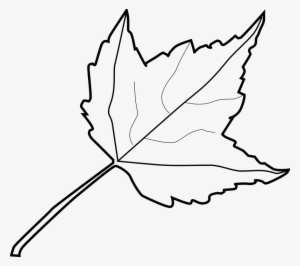 Leaf Outline Tree Outline With Leaves Clipart - Clip Art Black And White Leaf #1063147