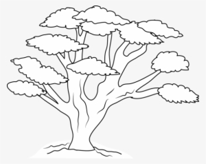 Oak Tree Clip Art Black White - Oak #1063502