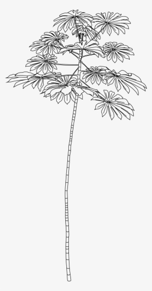 Colony23outline - Line Art #1063529