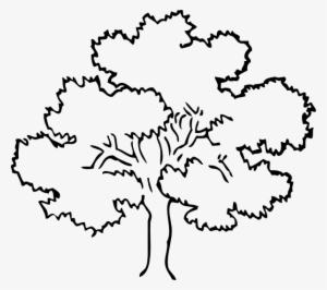 Oak Tree Clip Art At Clker Com Vector Clip Art Online - Rainforest Tree Coloring Pages #1063642
