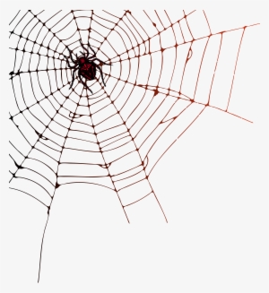 Spider Web Png Clip Art Image #1063748