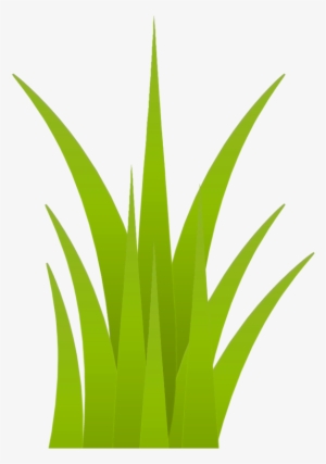 Leaves Png - Wedding Grass Png - Free Transparent PNG Download - PNGkey