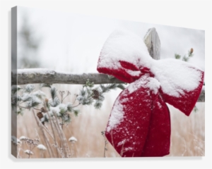 Fresh Snow On Holiday Bow And Decorations On Fence #1064449