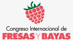 Mejor Ejemplo Que El De La Industria Denominada De - Anadolu Hayat Emeklilik A.s #1065418