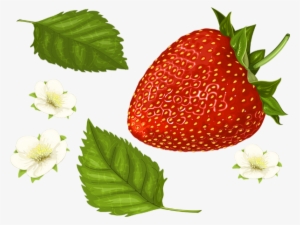 Fraise Png, Tube - Strawberry - Fraise - Skull Manches Longues,t-shirt #1065495
