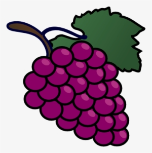 Grapes - Bunch Of Grapes Clipart #1065748