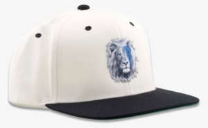 Baseball Cap #1066409