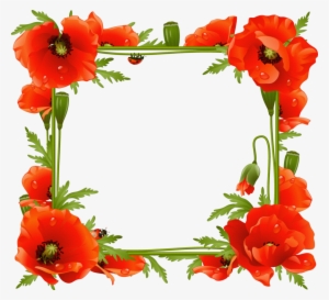 Poppy Flower Frame #1067955