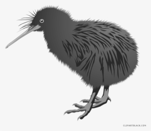 Kiwi Bird Clipart Library Download - Kiwi-vogel Postkarte #1068417