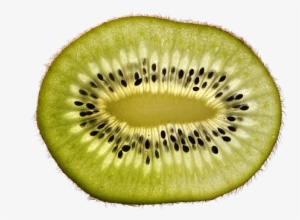 Kiwi, Fruit, Food, Delicious, Eat - Close Up Of Fruit #1068439