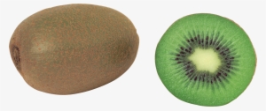Kiwi Transparent Background #1068445