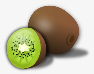 Kiwi Clipart #1068572