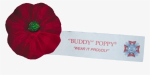 Veterans & Family Support - Poppy #1068618