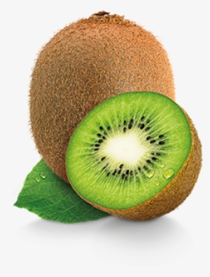 Kiwi - 키위 #1068640