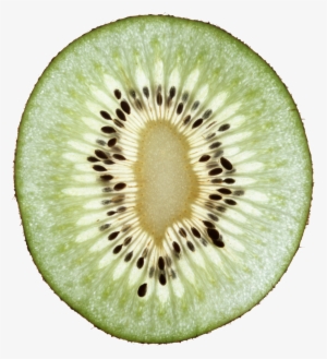 Go To Image - Kiwi Head Png #1068664