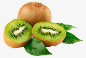 Kiwi Png Free Download - 1kg Kiwi Fruit Price #1068728