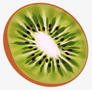 Kiwi • - Kiwi Fruit Animated #1068837