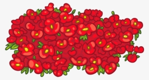 Find Near Me - Poppy #1068936